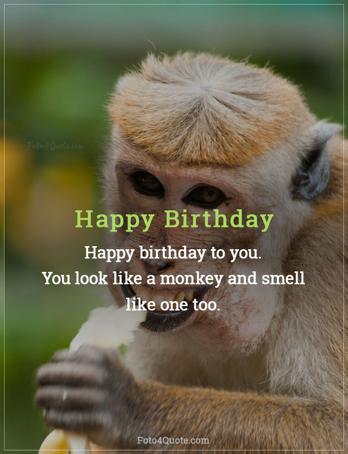 Funny birthday quotes and wishes - you are a monkey - bday ecard image 10