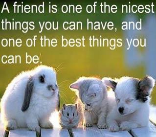 Friend quote – Friend is the best you can