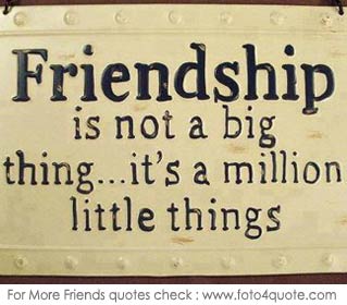 quotes on friendship - it's million little things - friends - picture 12