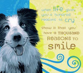 Smile quotes and images - smiling dog - smiles quote - 8