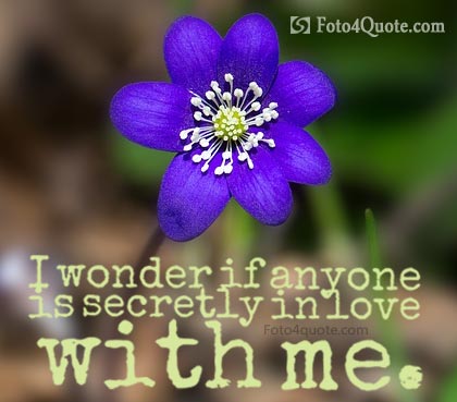 Images of flowers with quotes about love - blue flower