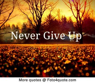 Tumblr images and quotes - Never give up - sunshine - trees - photo 5